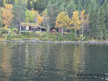 Klikk for stort bilde av 'Villmarksperle.'