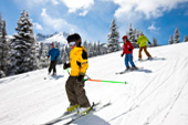 Alpinbakker og alpinanlegg