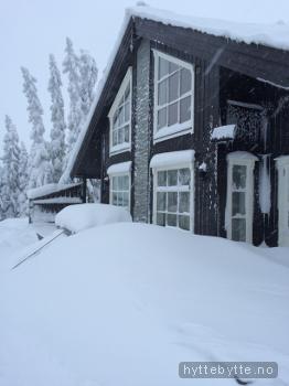 Klikk for stort bilde av 'Fin hytte med ski inn og ski out.'