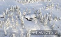 Koselig hytte på Rømåsen - Sjusjøen - Natrudstilen
