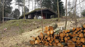 Klikk for stort bilde av 'Koselig hytte ved sjøen'